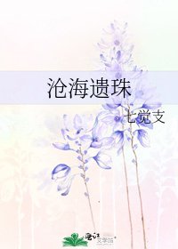 《沧海遗珠》